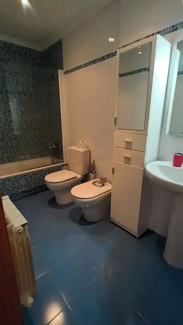 Duplex with lift to rent in San Roque - As Fontiñas, imagen 13