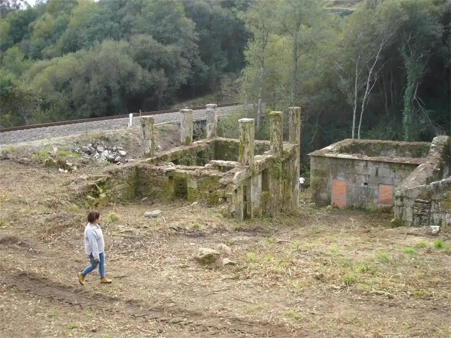 Garden of Residential for sale in Boborás, Ourense