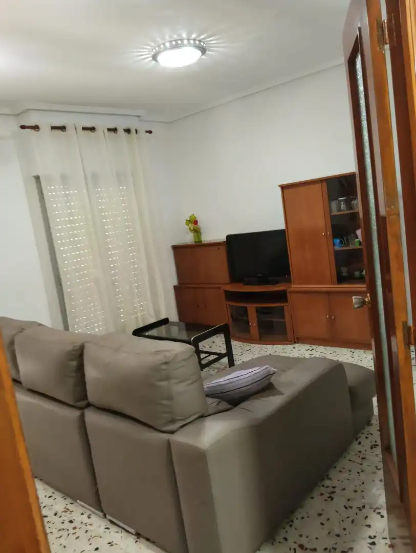 Sala de estar de Piso de alquiler en Elche / Elx con Amueblado