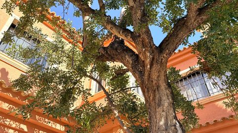 Foto 5 de Casa o xalet de lloguer a Levante, Ensanche - Diputación, Alicante / Alacant