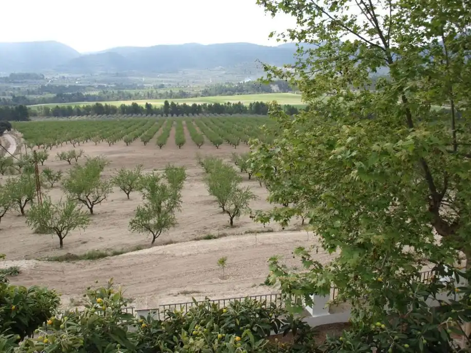 Maison rustique avec jardin à vendre à Penàguila, imagen 74