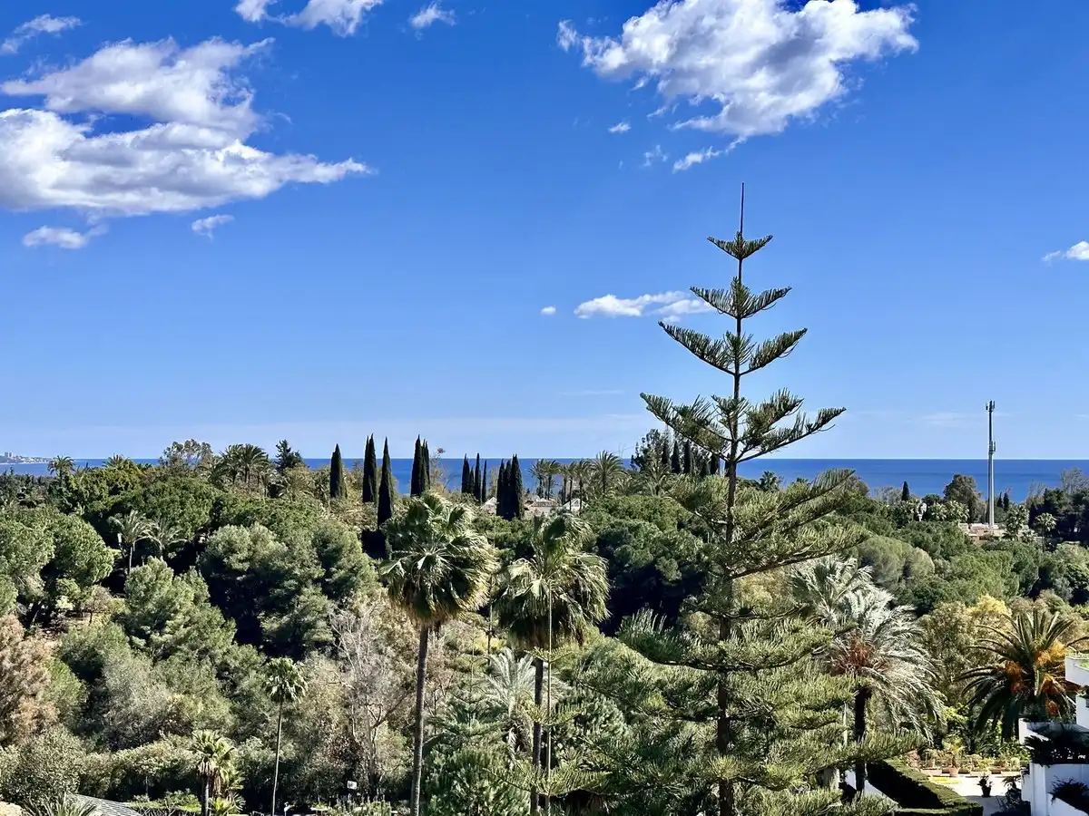 Apartament amb terrassa en venda a Milla de Oro, imagen 8