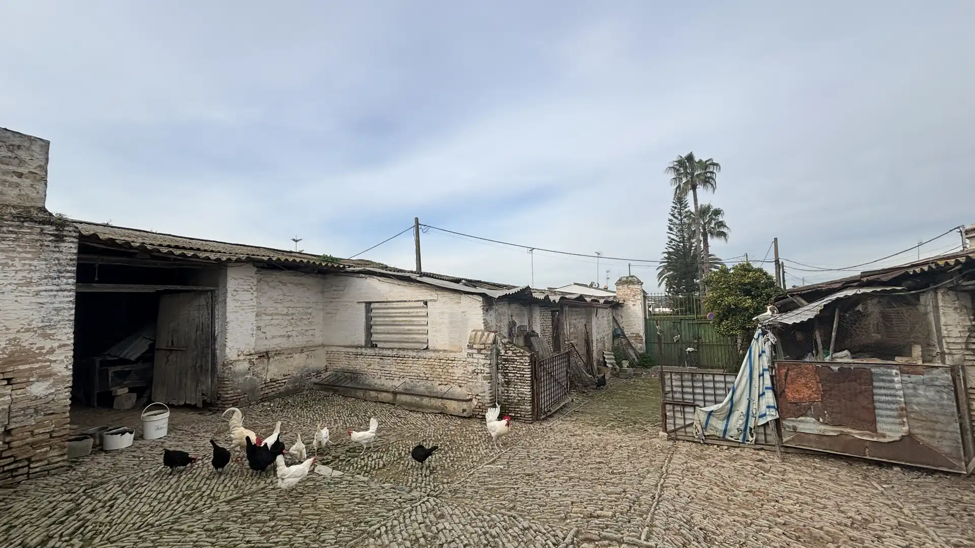 Vista exterior de Residencial en venta en Salteras