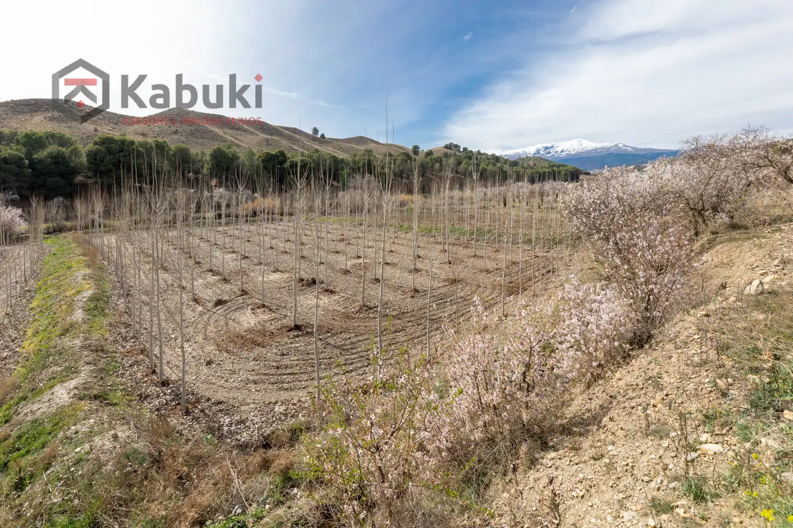 Terreni e lotti in vendita a Guadix - AUTE. VALLE DEL ZALABI, imagen 8