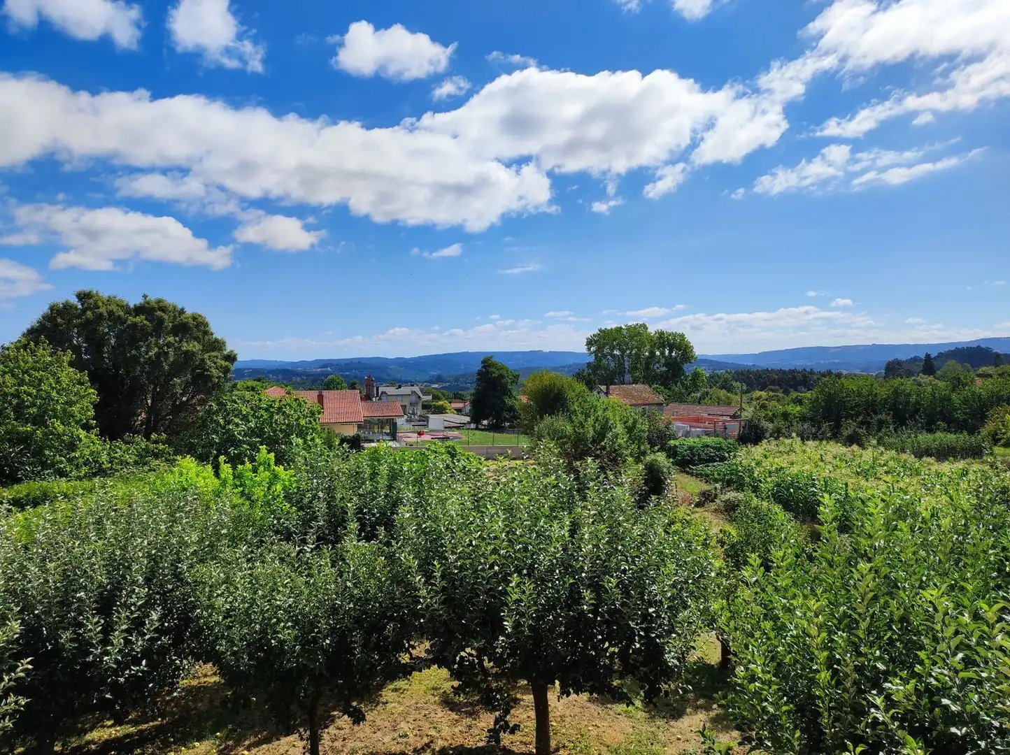 Villa con giardino in vendita a SOBRE IGREXA, imagen 52