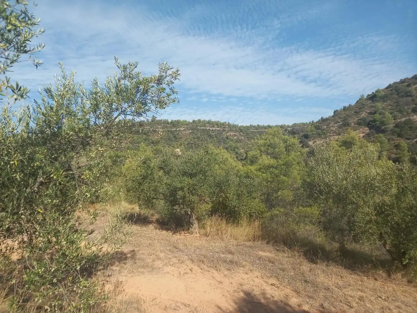 Terreno en venta en La Torre de l'Espanyol