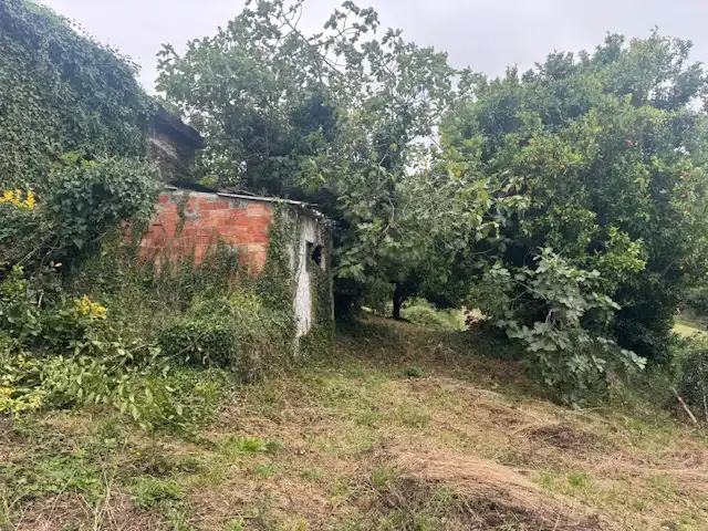 Country homes for sale in Vegadeo  with Heating, Terrace and Storage room