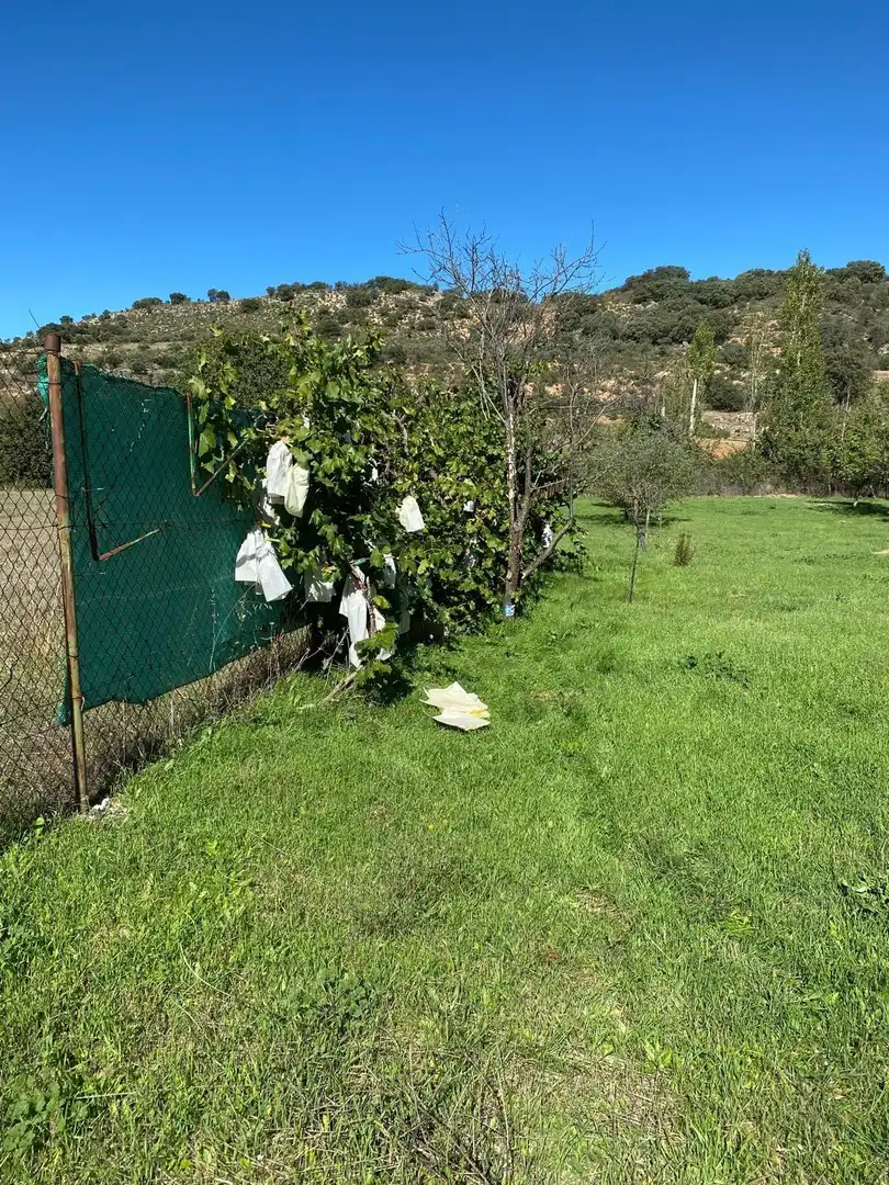 Terreno en venta en Escopete