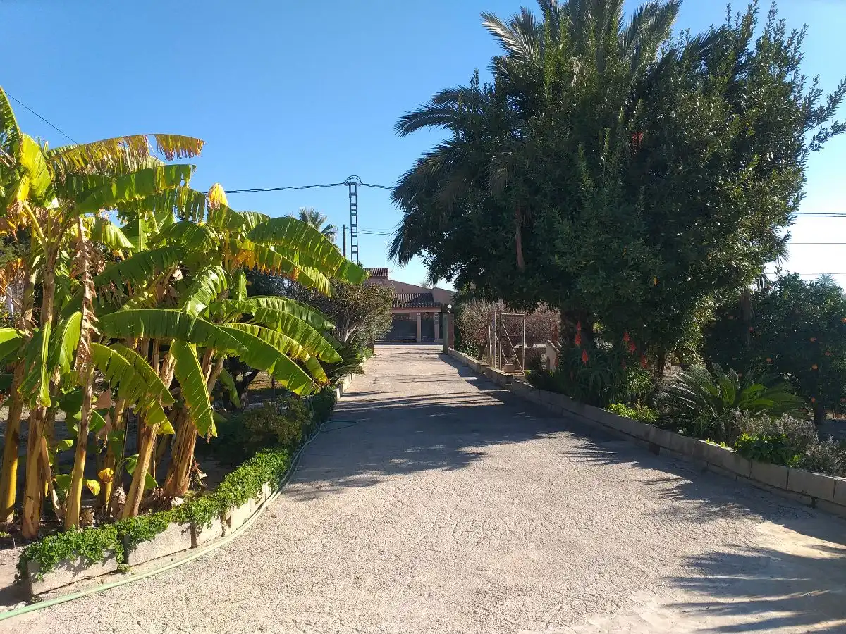 Vista exterior de Casa o xalet en venda en Elche / Elx