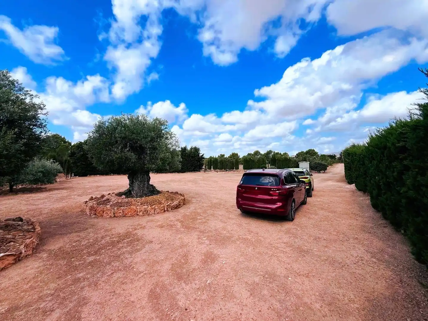 Finca rústica en venda en Murcia amb Piscina