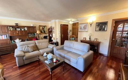 Living room of Flat for sale in Málaga Capital  with Air Conditioner, Heating and Terrace