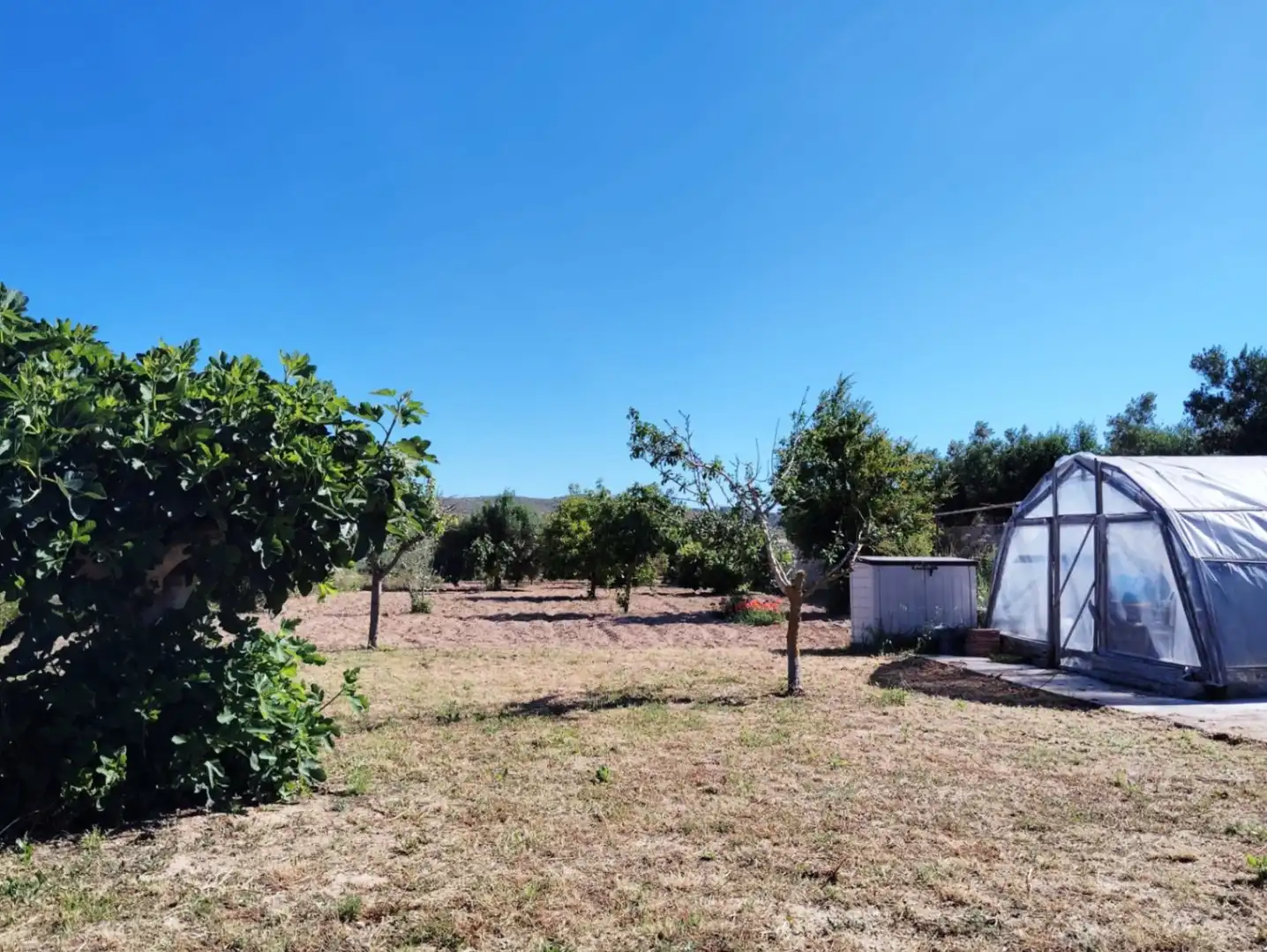 Maison rustique avec piscine à vendre à Teulada, imagen 28