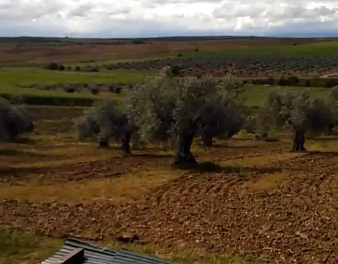 Terreno en venta en Illán de Vacas