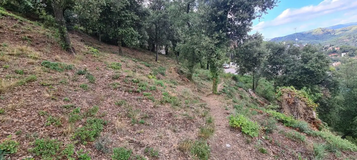 Terreny residencial en venda a Calle Serra de Sant Felíu, imagen 7