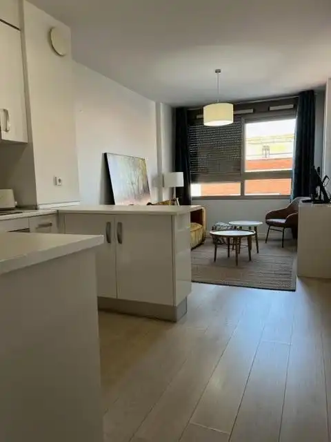 Studio mit Pool zur Miete in Pedanías Norte, imagen 16