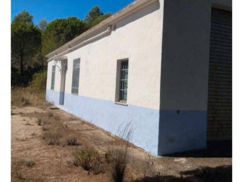 Terreno en Venta en Camí de Mostalla, 50 en Pego