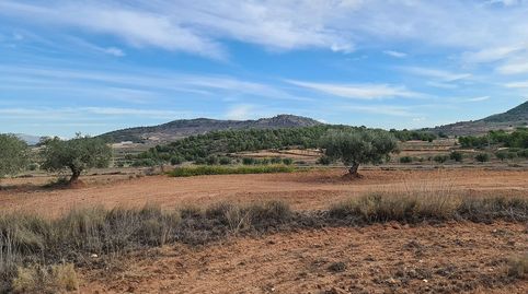 Terreno en venta en Pinoso., imagen 5