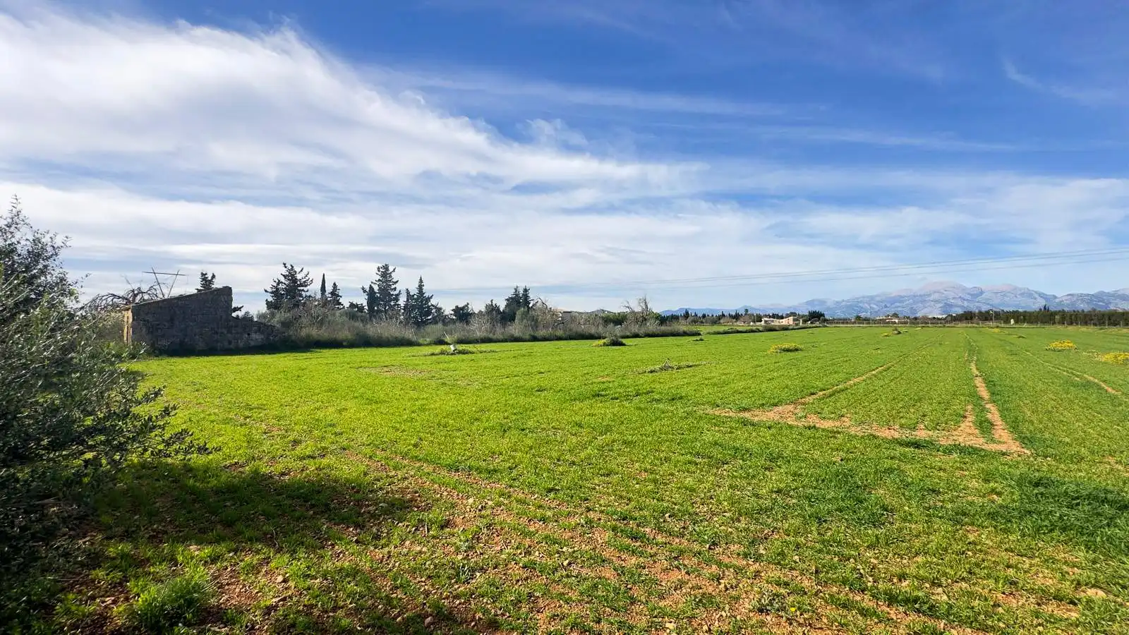 Maison rustique à vendre à Polígono Biniaco