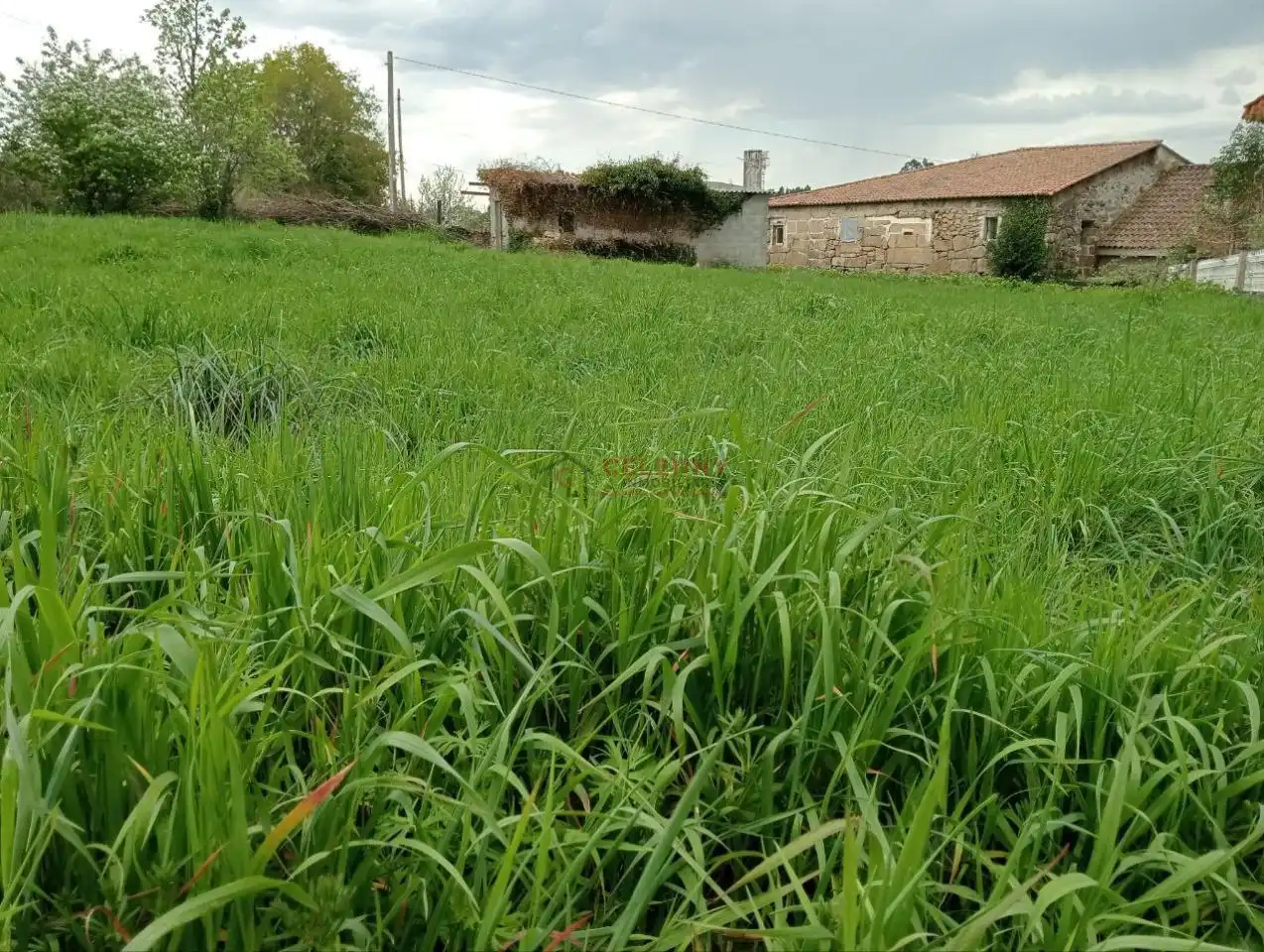 Casa amb jardí en venda a O Pereiro de Aguiar, imagen 31