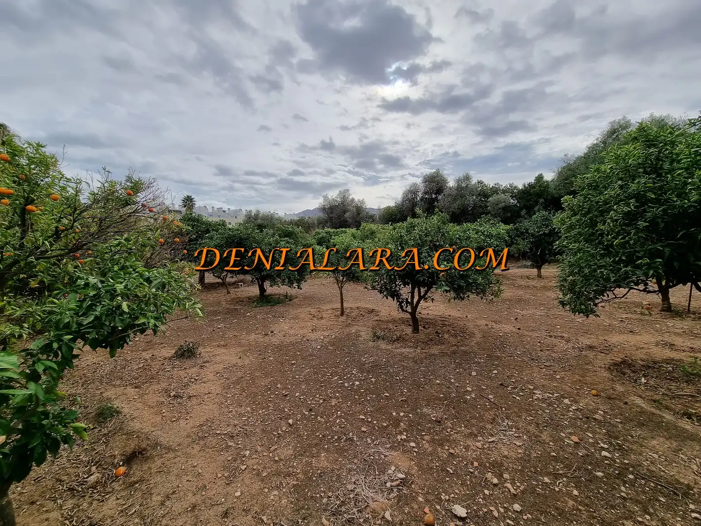 Terreno residenziale in vendita a Las Marinas / Les Marines, imagen 4