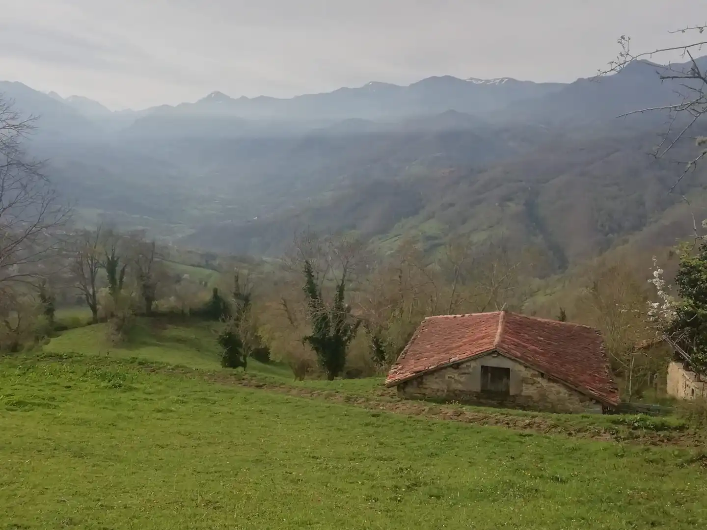 Vista exterior de Finca rústica en venda en Teverga