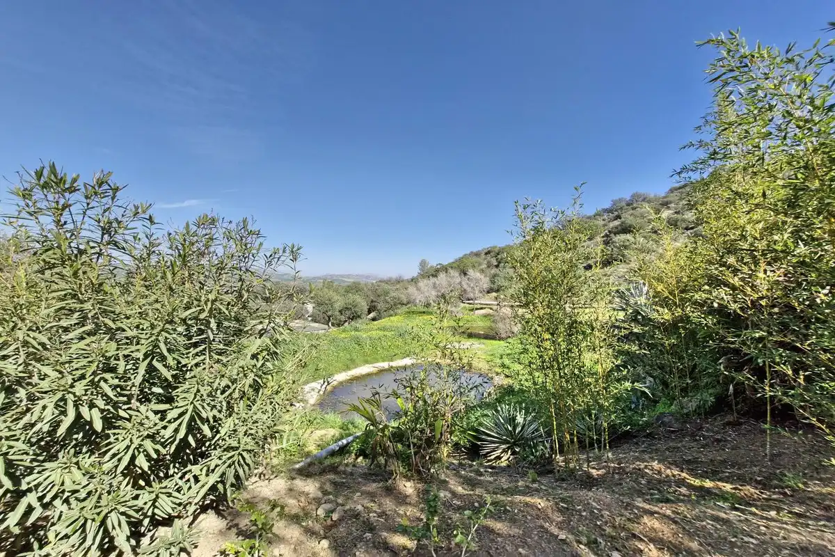 Casa rústica amb jardí en venda a Coín, imagen 49