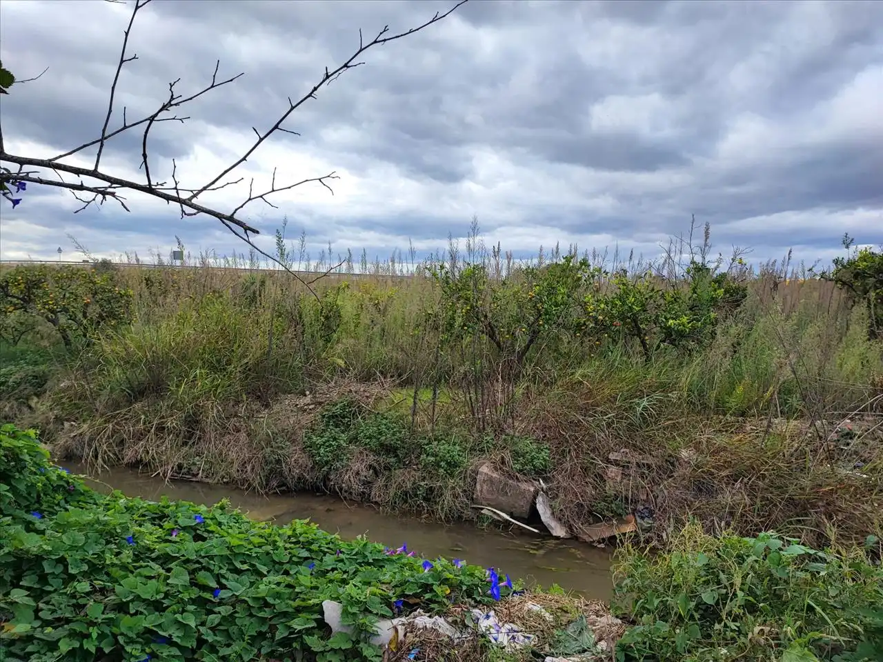 Rural land for sale in Polígono Número 40, Sueca, Spain, imagen 3