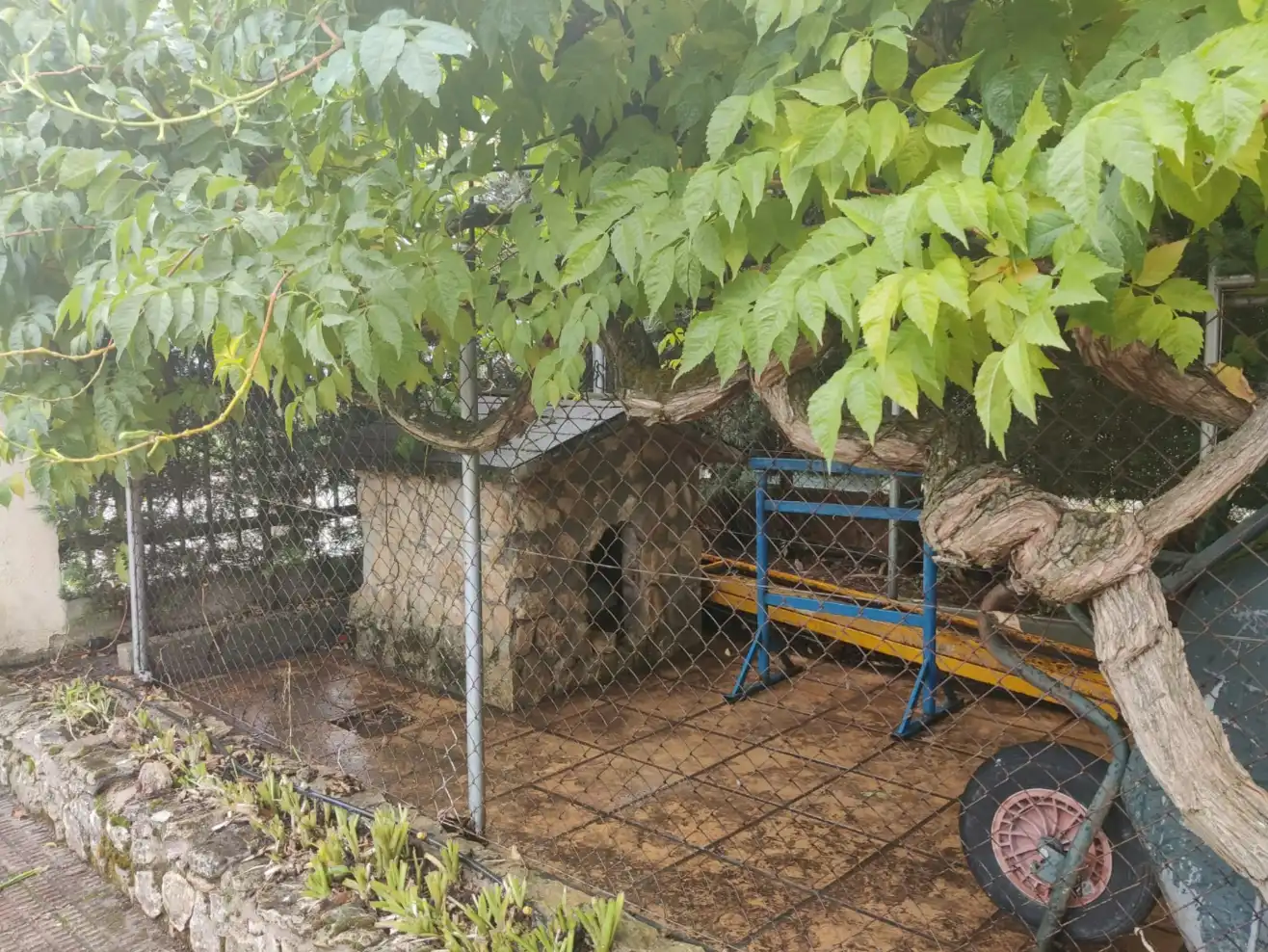 Jardí de Casa o xalet en venda en El Molar (Madrid) amb Calefacció, Jardí privat i Piscina