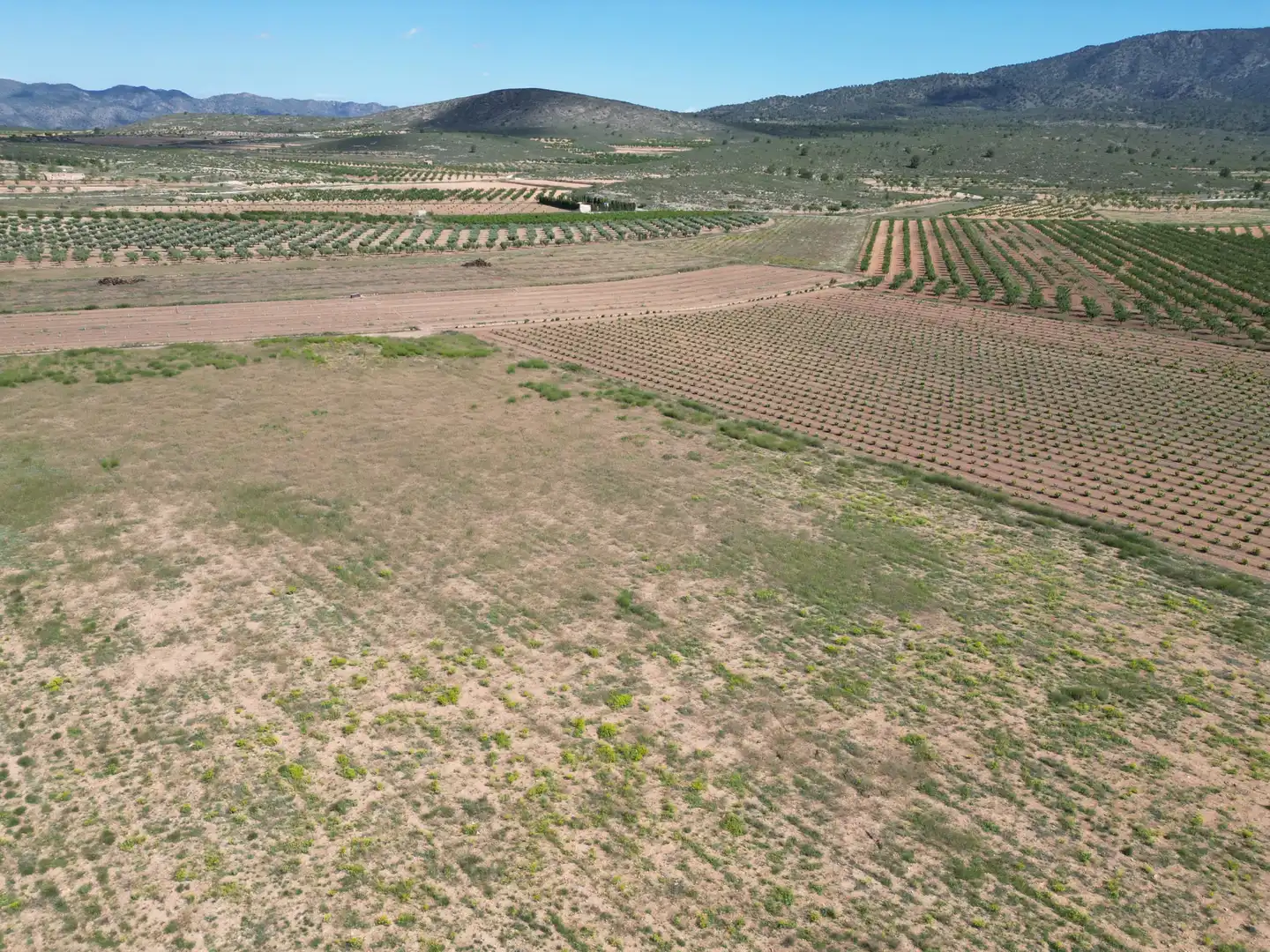 Wohnbaugrundstück zum Verkauf in El Pinós / Pinoso, imagen 5