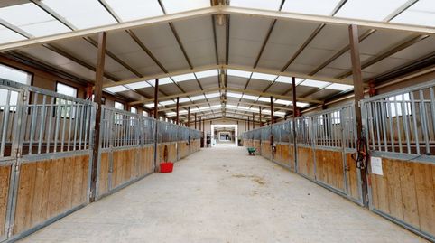 Photo 3 of Commercial properties for sale in Los Felipes - Corral de Carmelo, Chiva