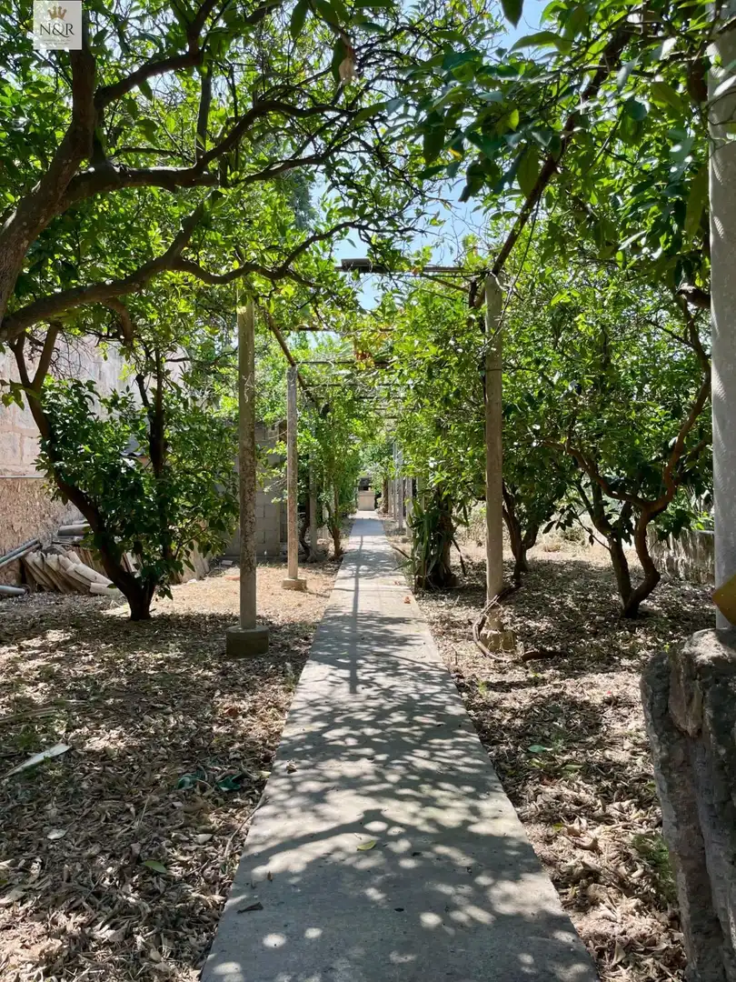 Casa amb jardí en venda a Consell, imagen 20