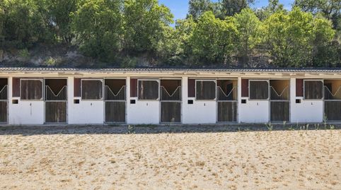 Finca ecuestre de uso profesional con vivienda en Vallgorguina, imagen 4