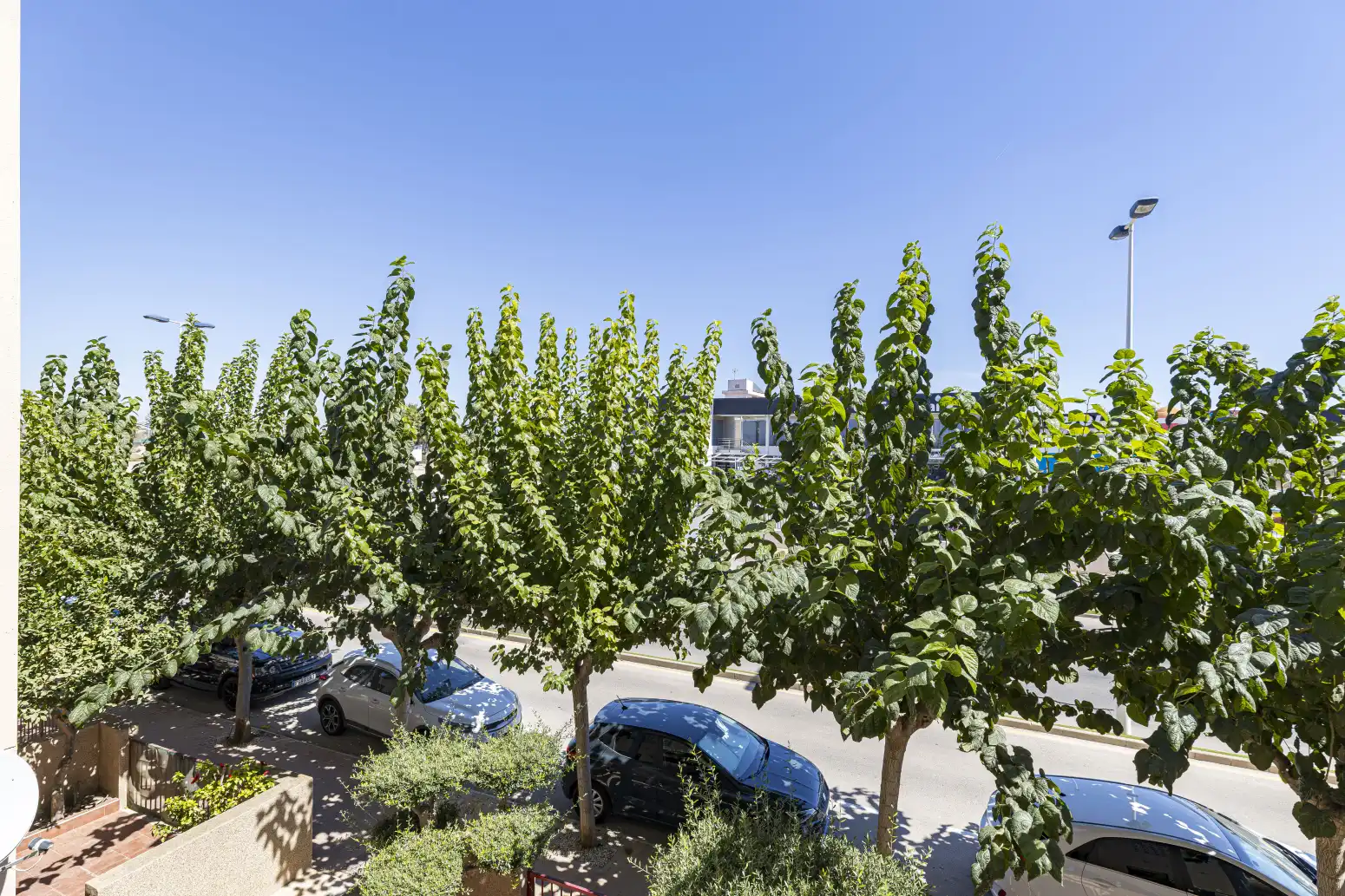 Flat with pool for sale in San Pedro del Pinatar - C/ Estornino, 1, bl 5, pt 38 1, imagen 22