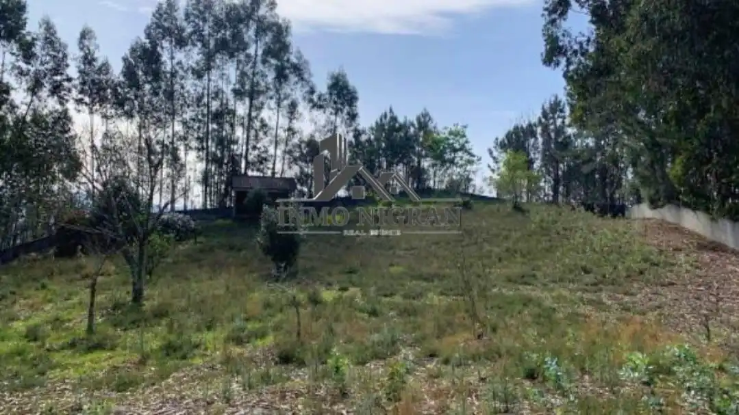 Lands and plots for sale in Santistas, imagen 4
