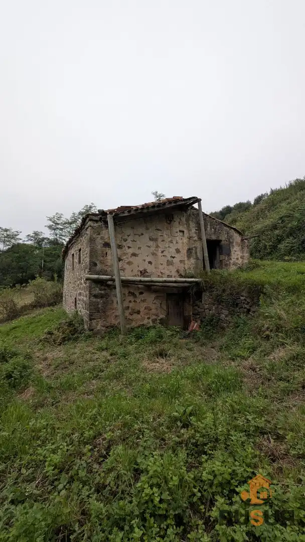 Vista exterior de Finca rústica en venta en Saro