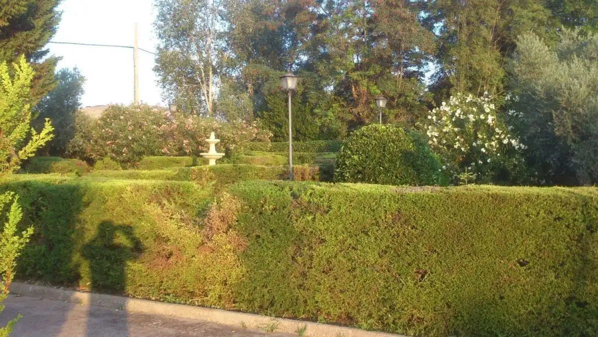 Casa rústica en venda a Valdepeñas, imagen 14
