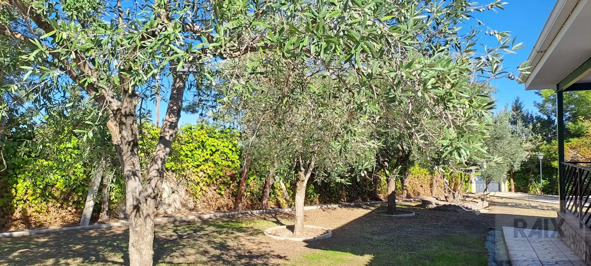 Garden of Houses for sale in Colmenar de Oreja, Madrid