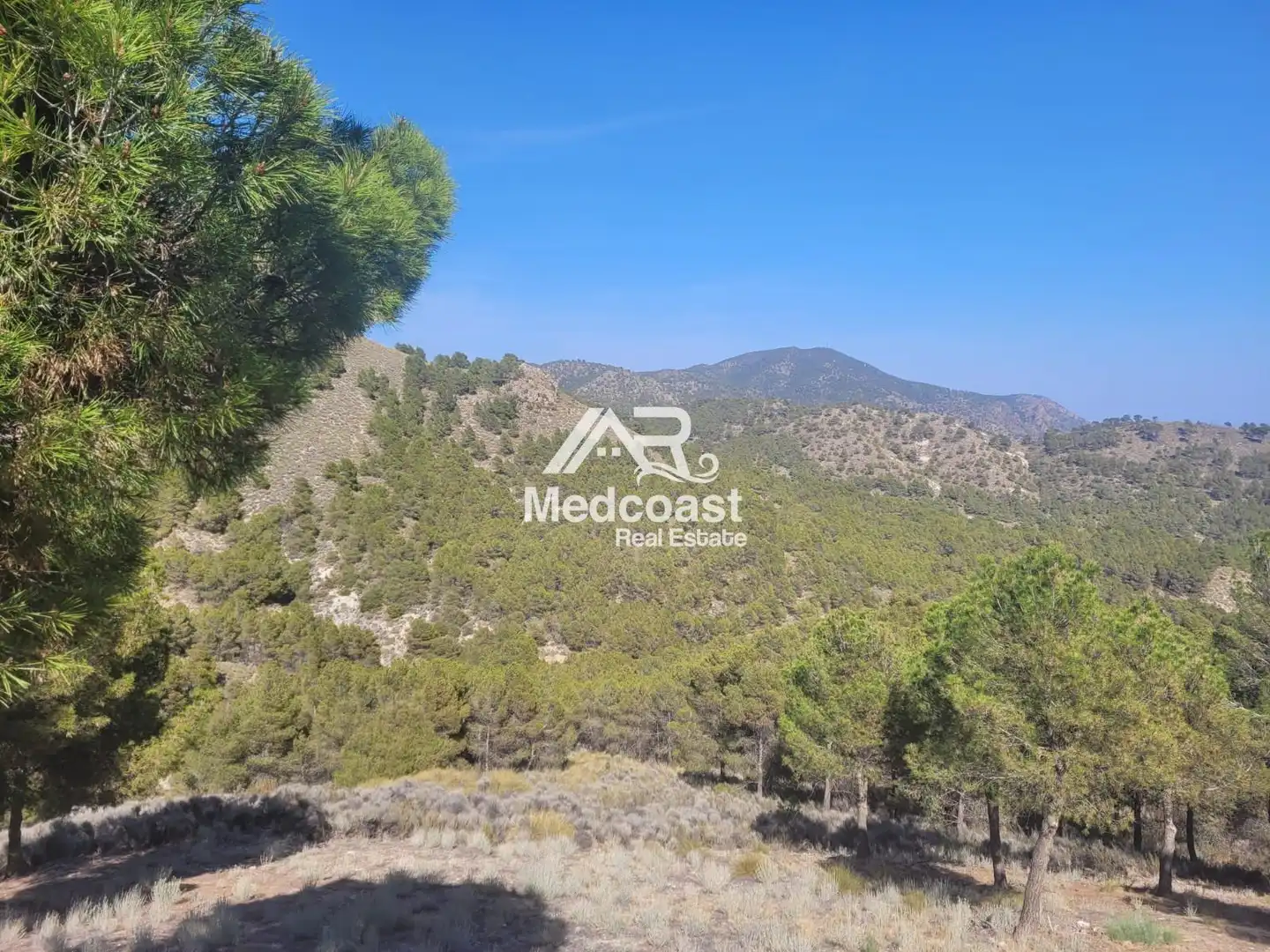 Detached homes for sale in Somontín  with Terrace and Storage room
