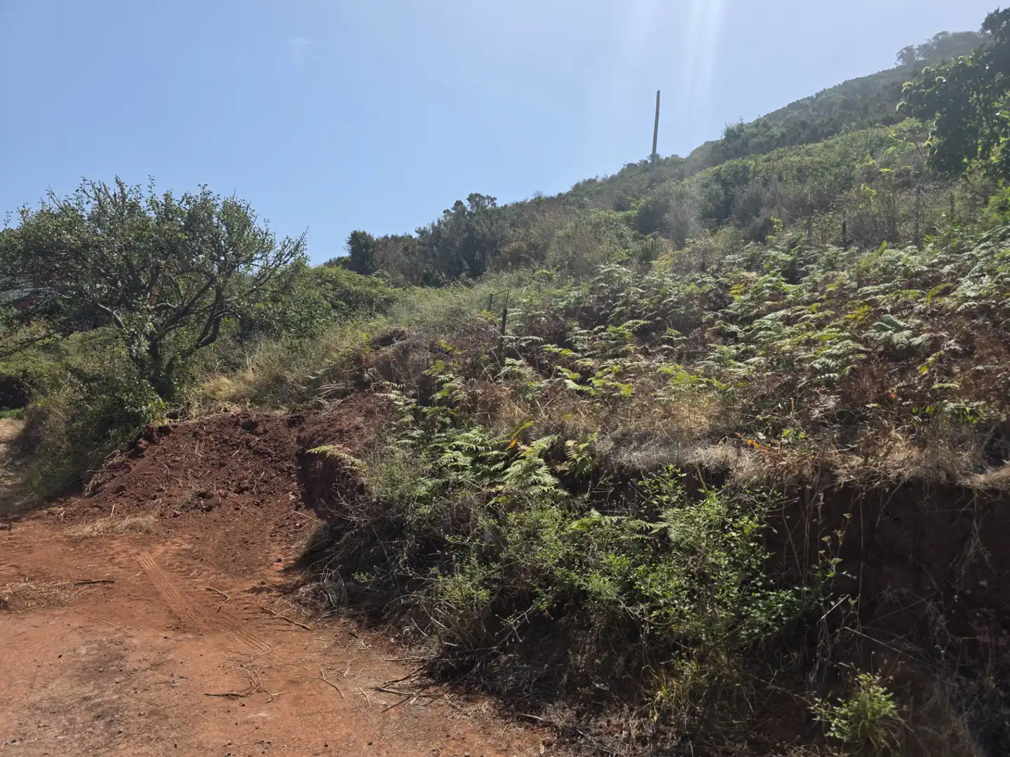 Rural land for sale in Camino las Peñuelas 11, imagen 39
