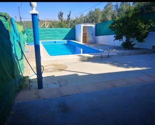 Swimming pool of Country house to rent in Lucena  with Terrace