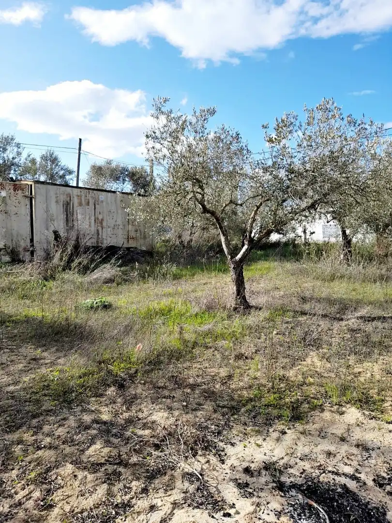 Terreni e lotti in vendita a El Retiro - Parque Atlántico - Ronda este, imagen 7