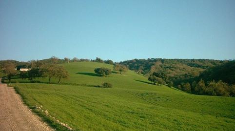 Foto 3 de Finca rústica en venda a El Pópulo - Santa María, Cádiz