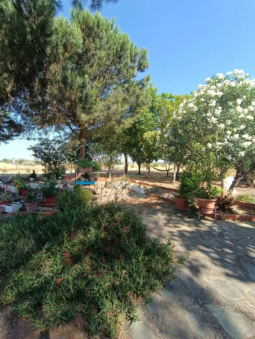 Chalet con piscina en venta en Villanueva de la Serena