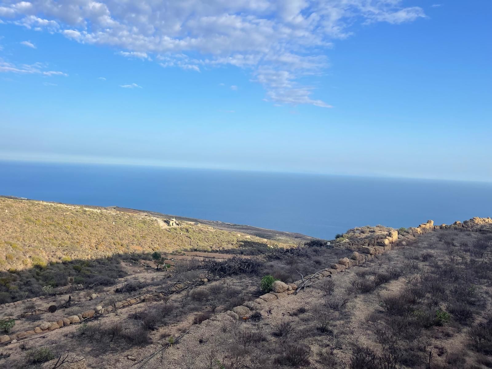 Exterior view of Land for sale in Güímar