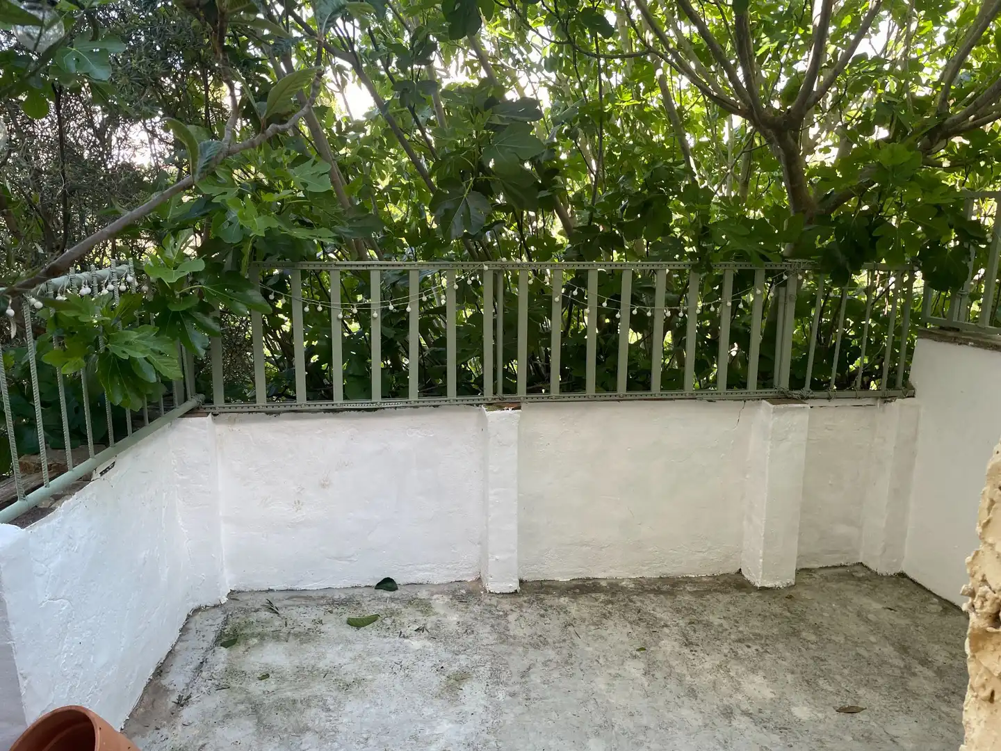 Country homes for sale in Centro