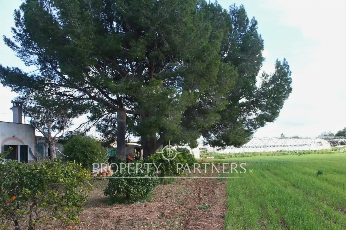 Villa avec jardin à vendre à Son Nebot, imagen 13