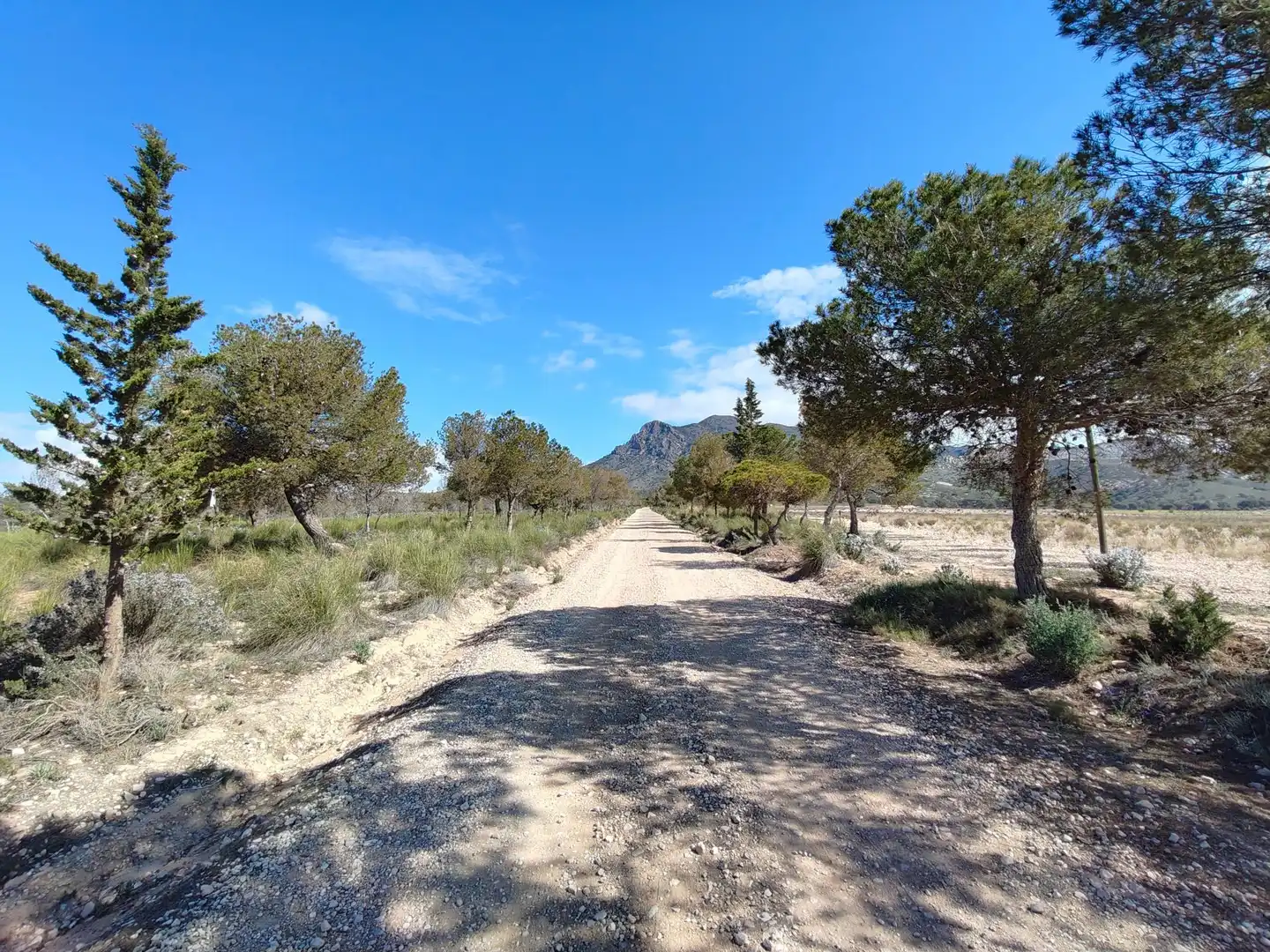 Vista exterior de Casa o chalet en venta en Jumilla