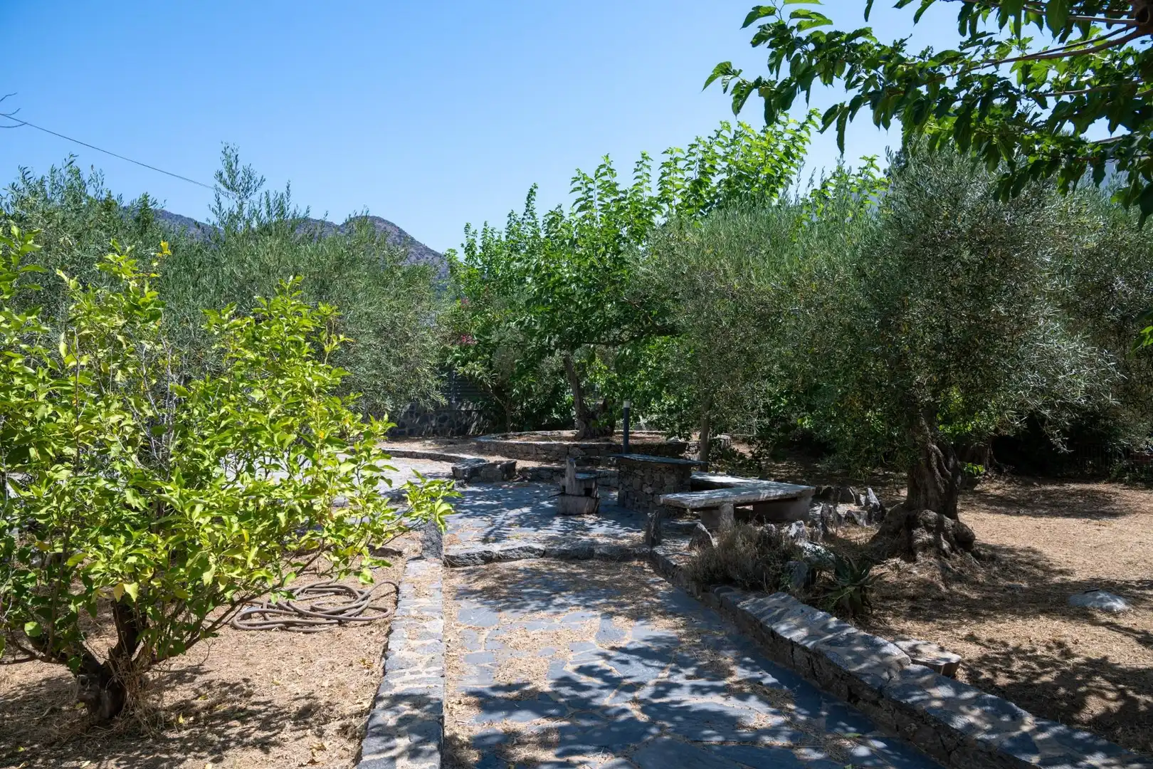 Garden of Houses for sale in Nord