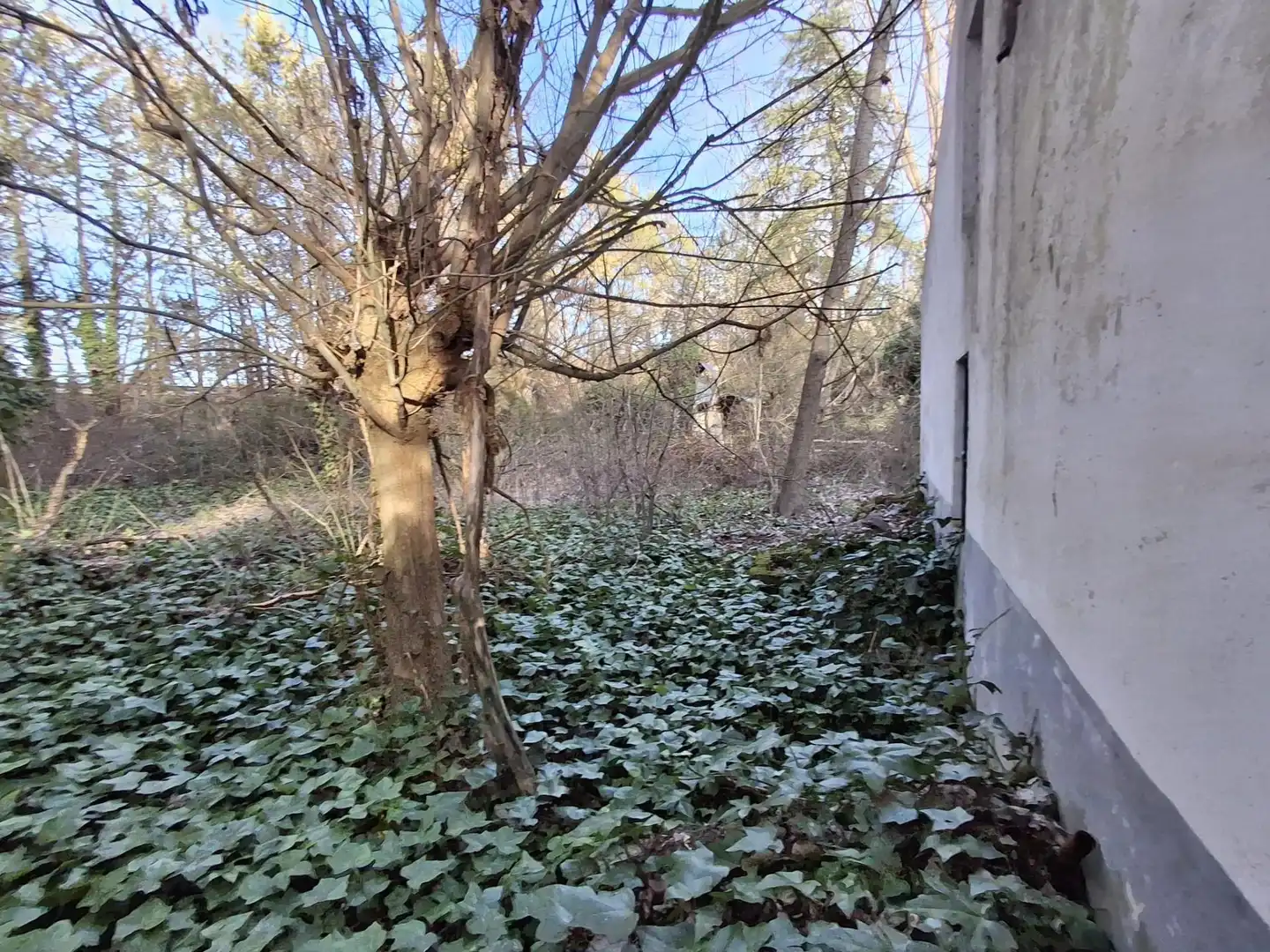 Houses for rent in Pezuela de las Torres