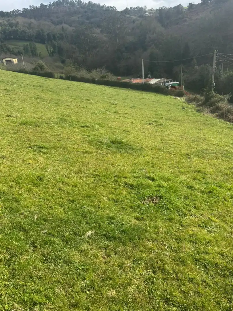 Terreny residencial en venda a Rural